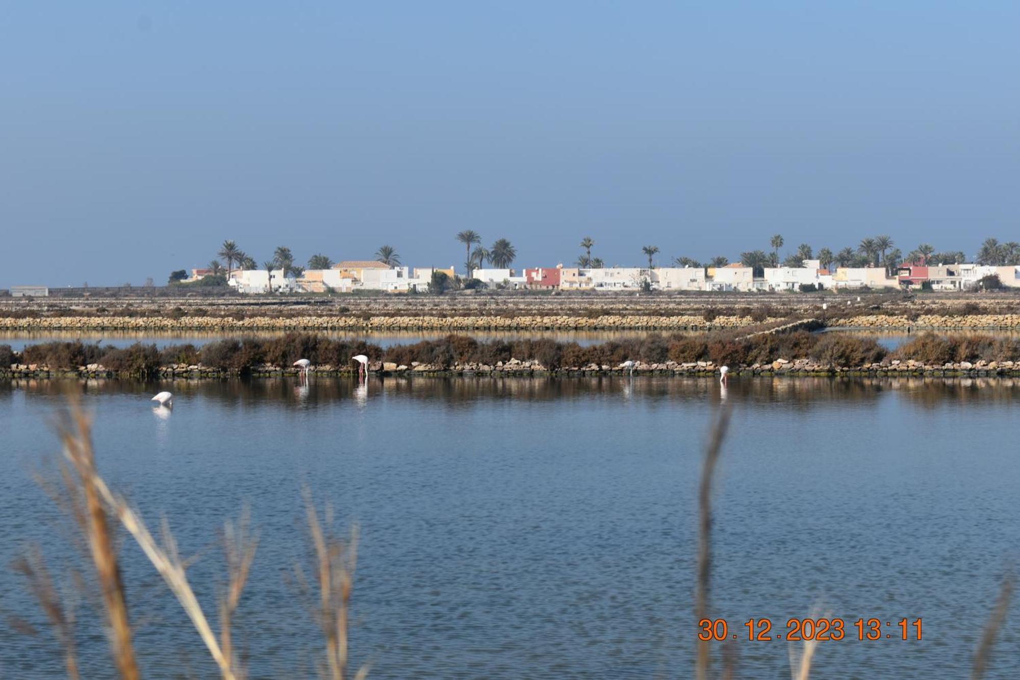 Apart Turisticos Marine Rest La Manga Mar Menor Piscinas Privadas Playa Paraiso  Eksteriør billede