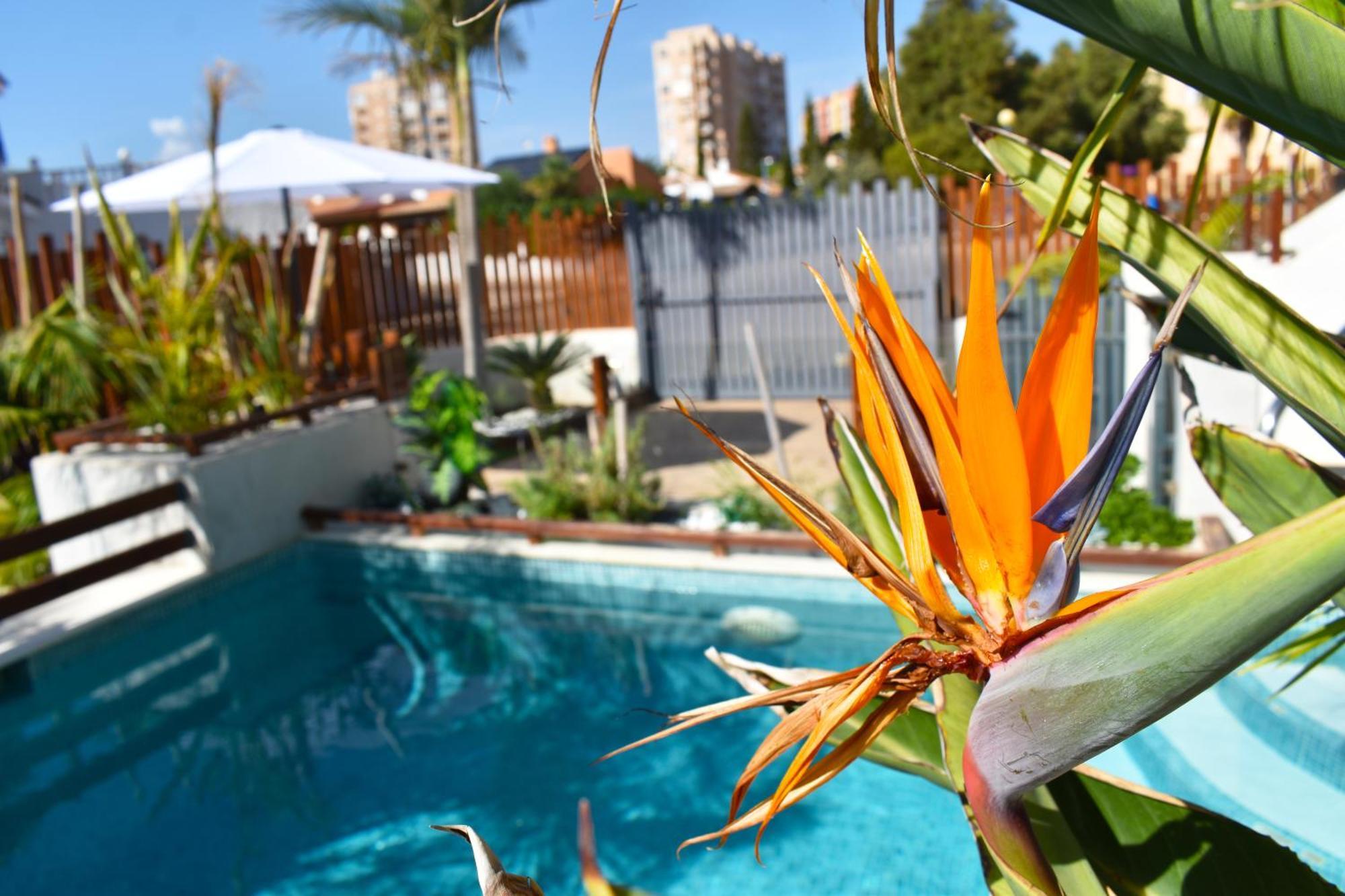 Apart Turisticos Marine Rest La Manga Mar Menor Piscinas Privadas Playa Paraiso  Eksteriør billede